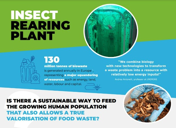 SCALIBUR project_Insect rearing plant